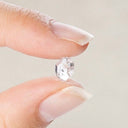 A Grade Herkimer Diamond Raw Crystal | Transformation | Manifestation | Ascension