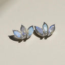 Pair of silver labradorite earrings with gemstones on a beige background
